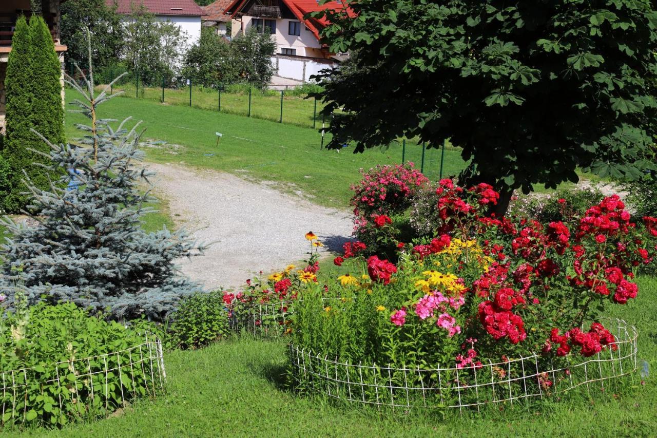 Pensiunea Dealul Frumos Bran  Exterior foto