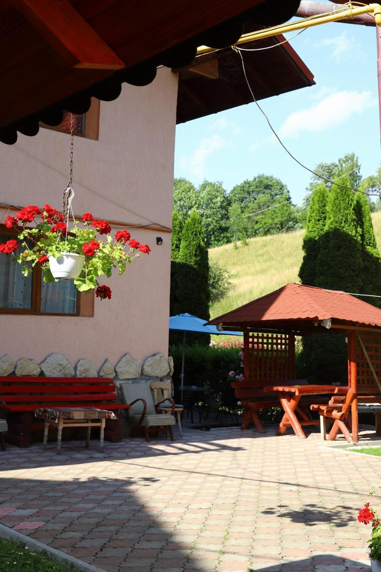 Pensiunea Dealul Frumos Bran  Exterior foto